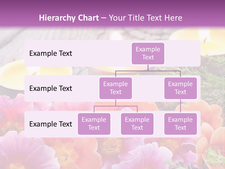 Blumendekoration Pflanzen Bunt PowerPoint Template