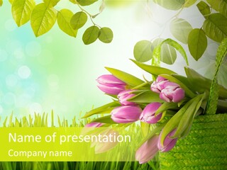 Duft Pflanze Rahmen PowerPoint Template