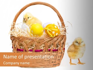 Spring Egg Young PowerPoint Template