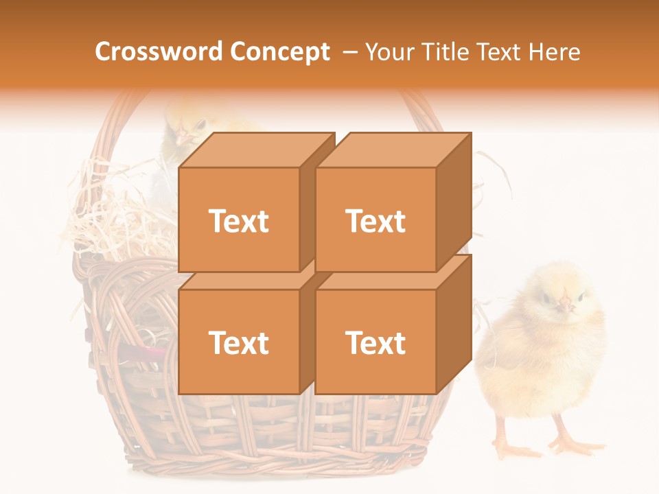 Spring Egg Young PowerPoint Template