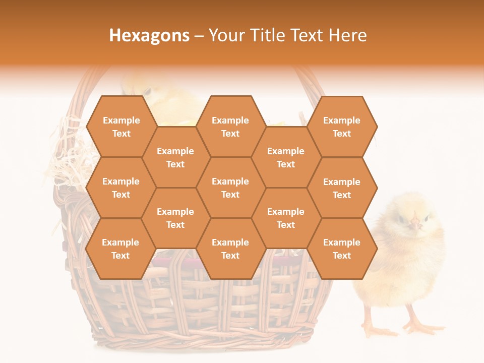 Spring Egg Young PowerPoint Template