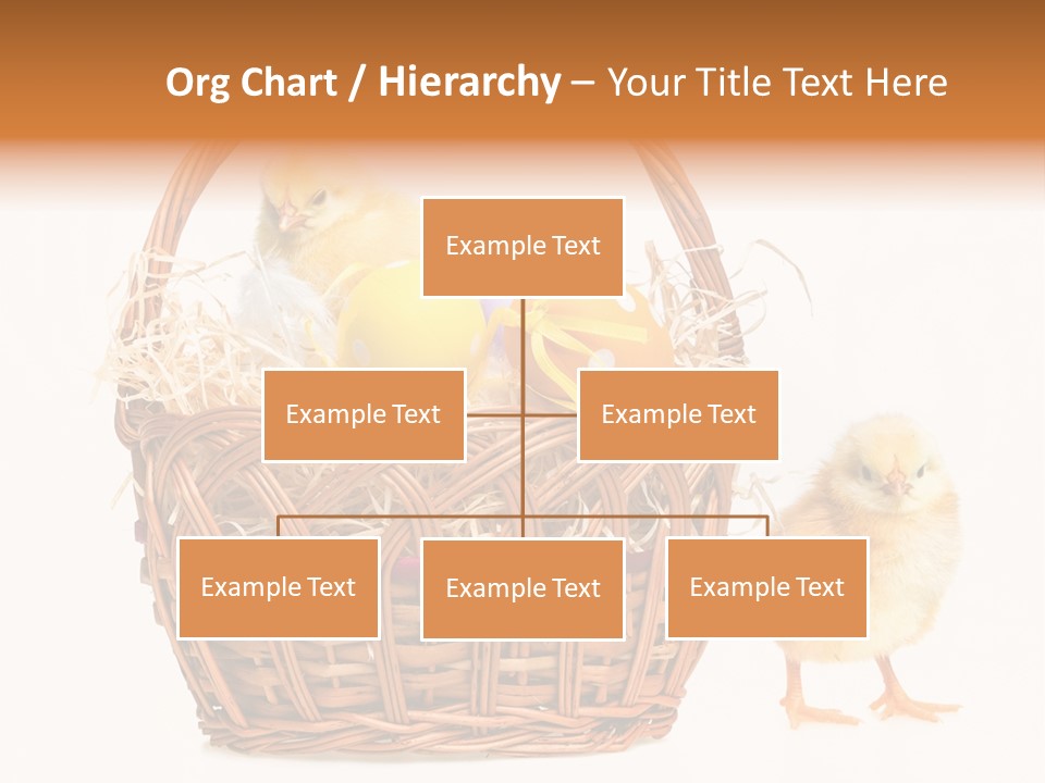 Spring Egg Young PowerPoint Template