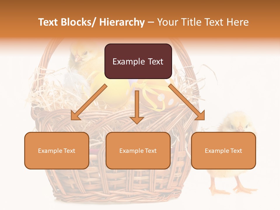 Spring Egg Young PowerPoint Template