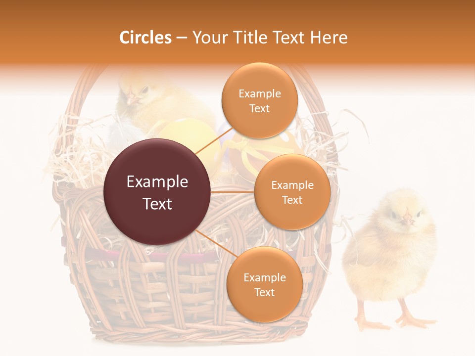 Spring Egg Young PowerPoint Template