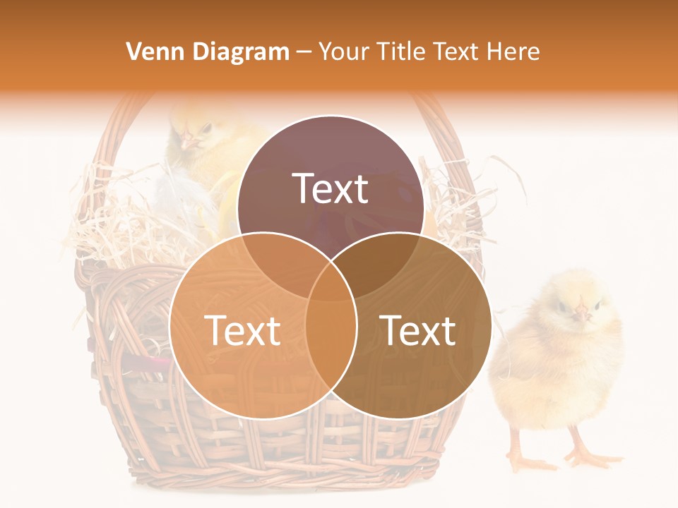 Spring Egg Young PowerPoint Template