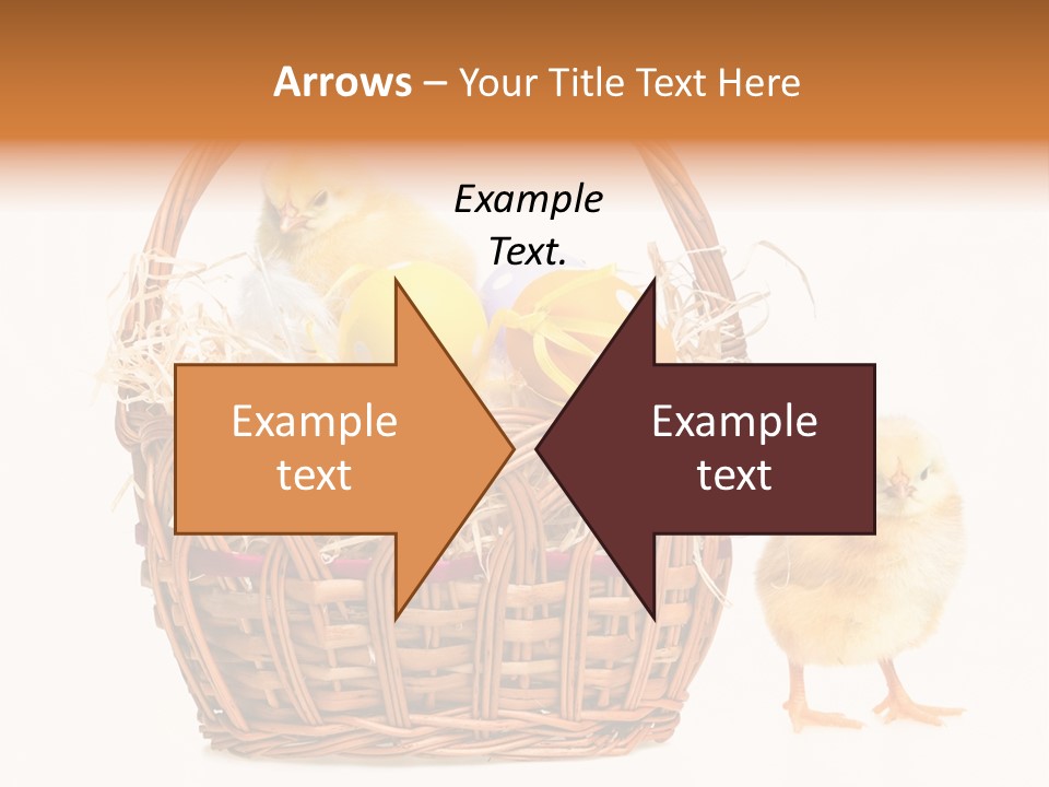 Spring Egg Young PowerPoint Template