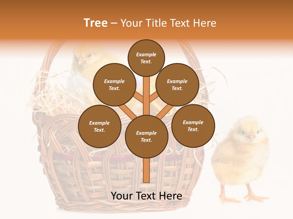 Spring Egg Young PowerPoint Template