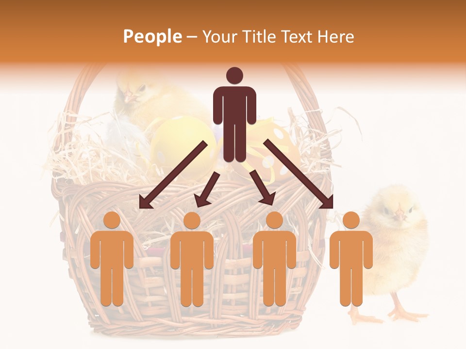 Spring Egg Young PowerPoint Template