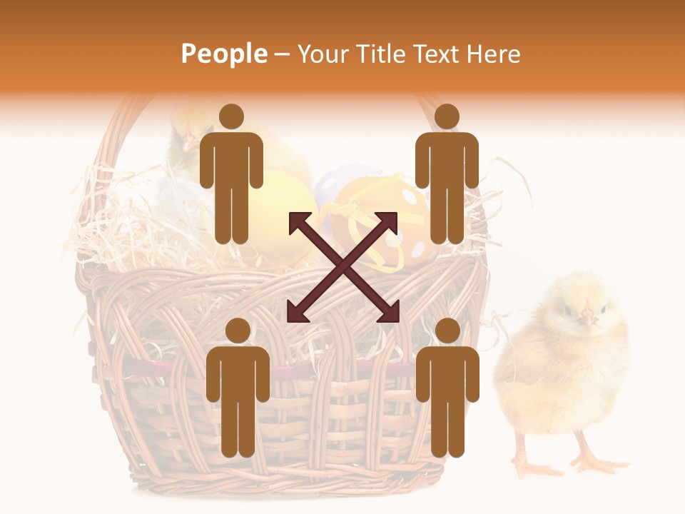 Spring Egg Young PowerPoint Template