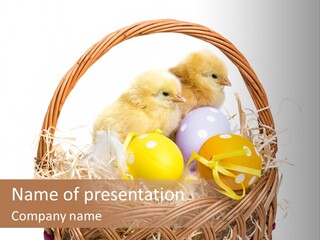 Wings Pet Painted PowerPoint Template