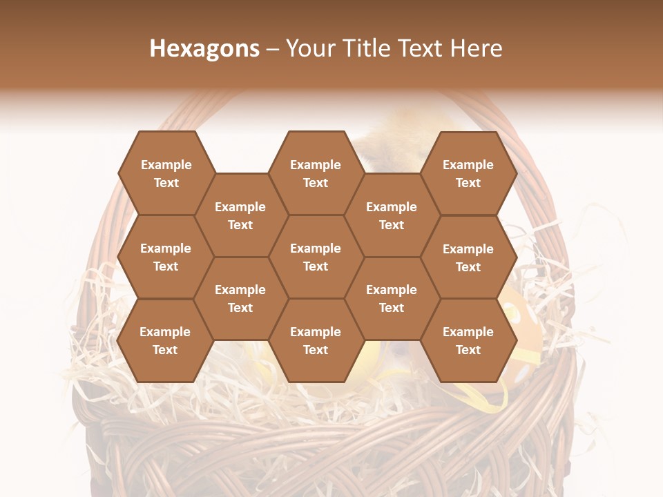 Wings Pet Painted PowerPoint Template