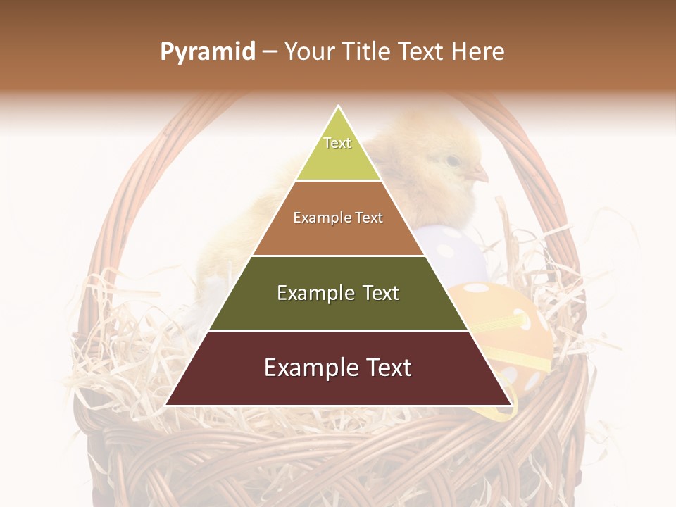 Wings Pet Painted PowerPoint Template