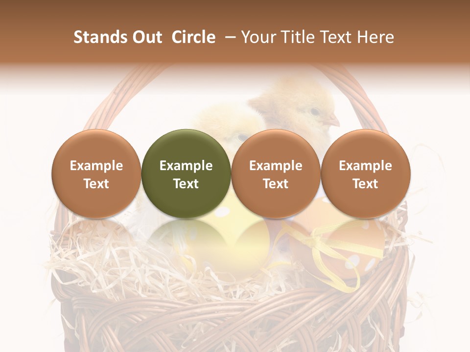 Wings Pet Painted PowerPoint Template