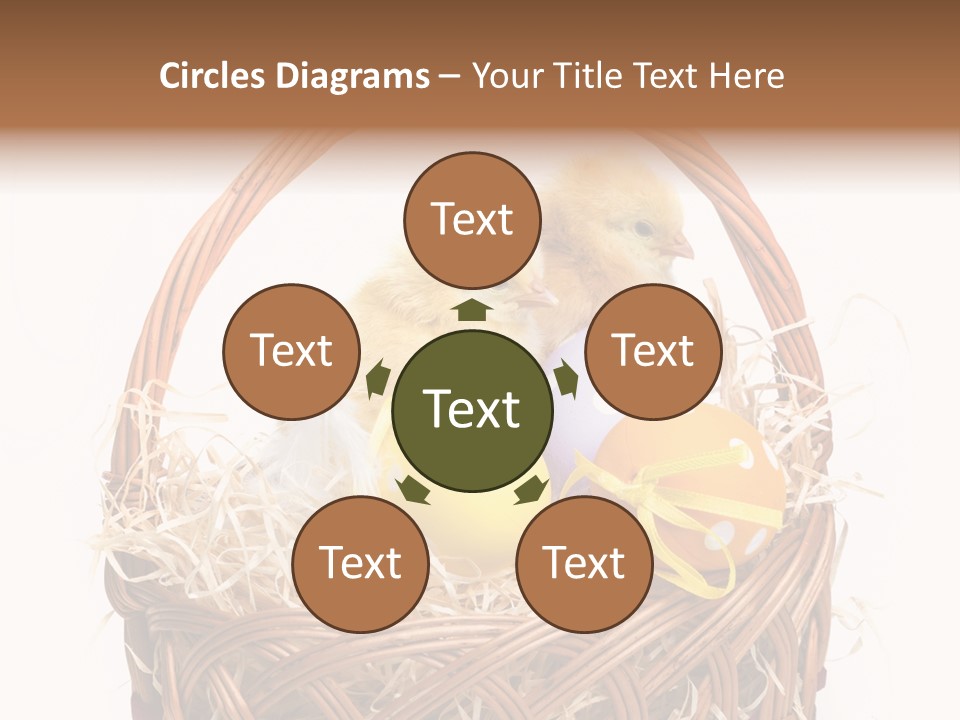 Wings Pet Painted PowerPoint Template