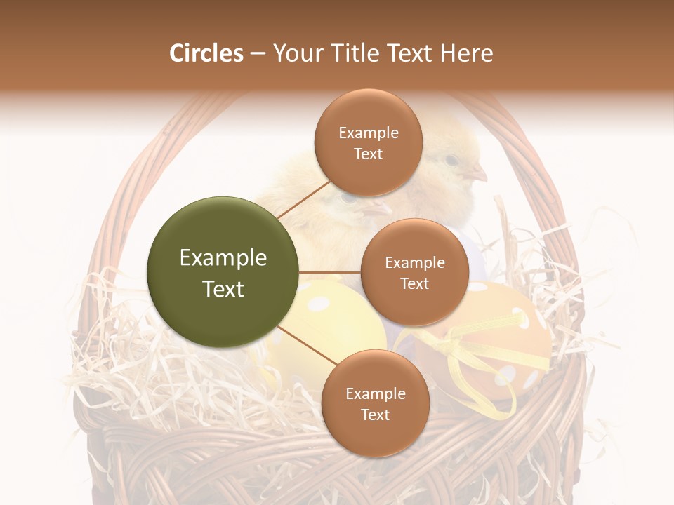 Wings Pet Painted PowerPoint Template