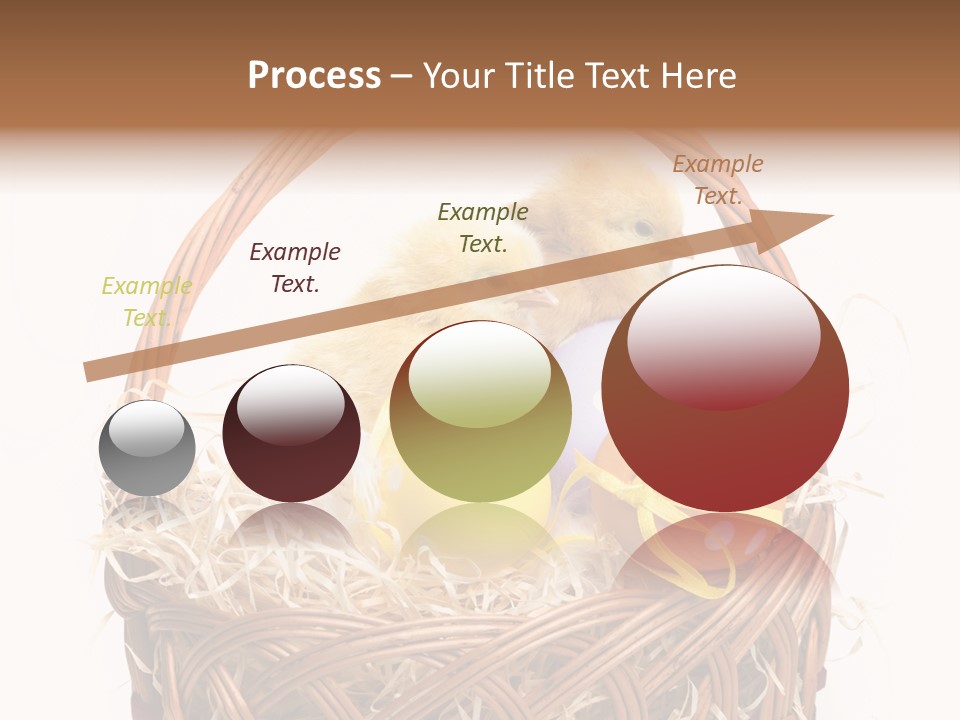 Wings Pet Painted PowerPoint Template