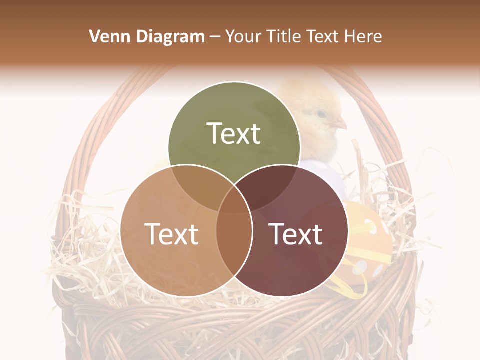 Wings Pet Painted PowerPoint Template