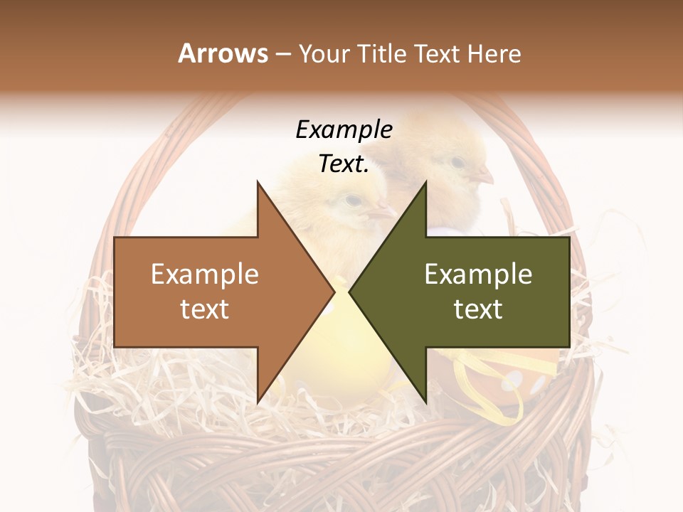 Wings Pet Painted PowerPoint Template