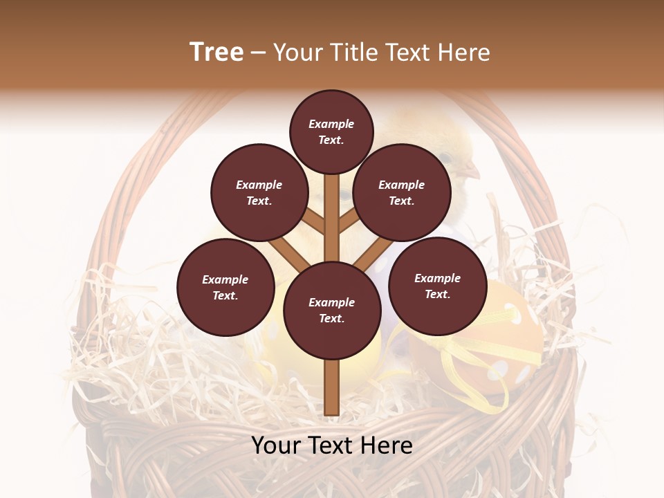 Wings Pet Painted PowerPoint Template