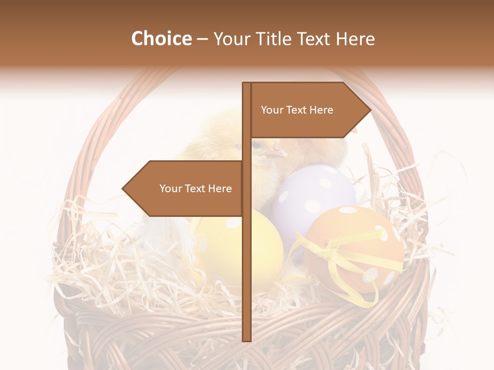 Wings Pet Painted PowerPoint Template