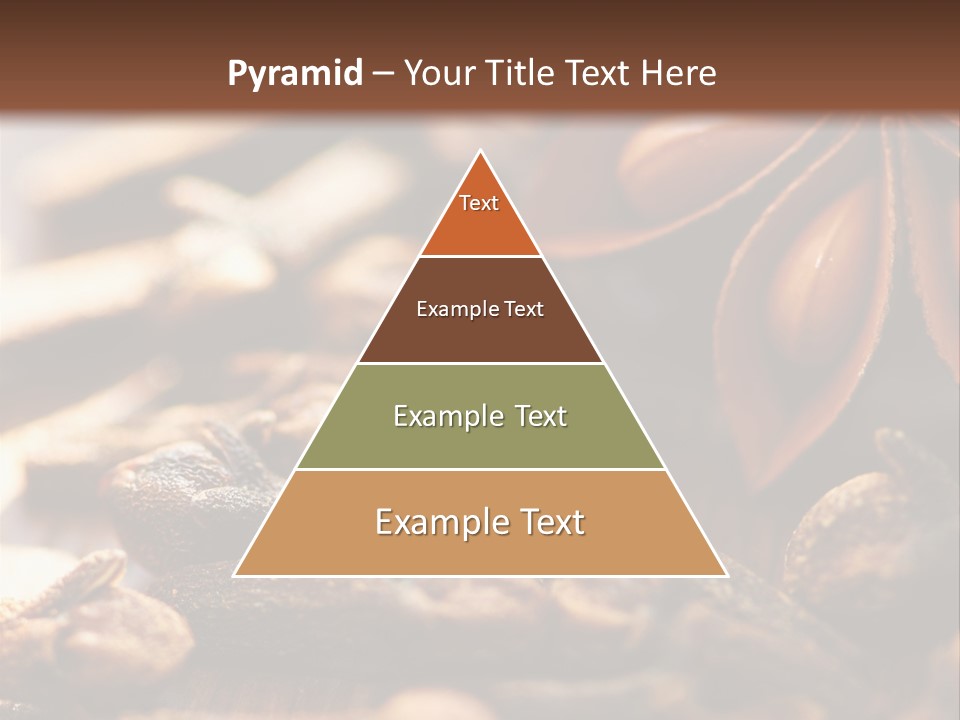 Sternanis Radikalf Nelken PowerPoint Template