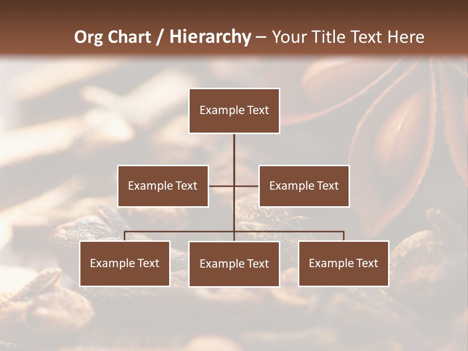 Sternanis Radikalf Nelken PowerPoint Template