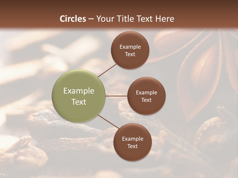 Sternanis Radikalf Nelken PowerPoint Template