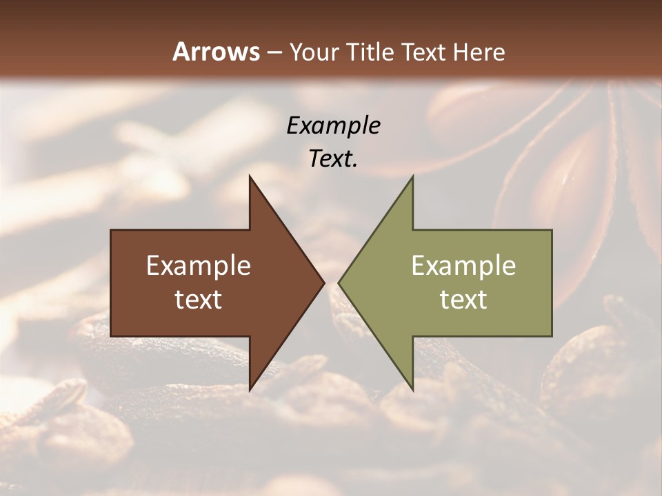 Sternanis Radikalf Nelken PowerPoint Template