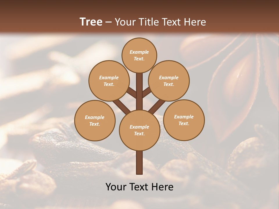 Sternanis Radikalf Nelken PowerPoint Template