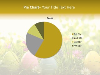 Eastereggs Horizontal Hide PowerPoint Template