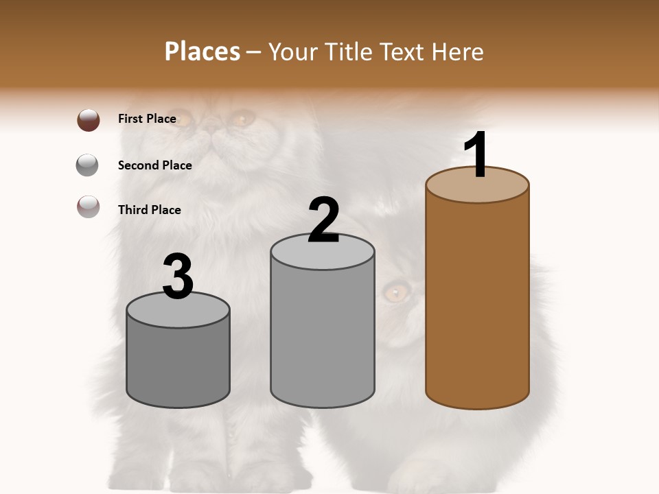 Cut Out Horizontal Fur PowerPoint Template