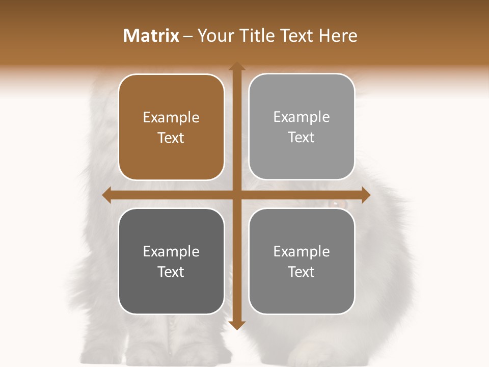 Cut Out Horizontal Fur PowerPoint Template