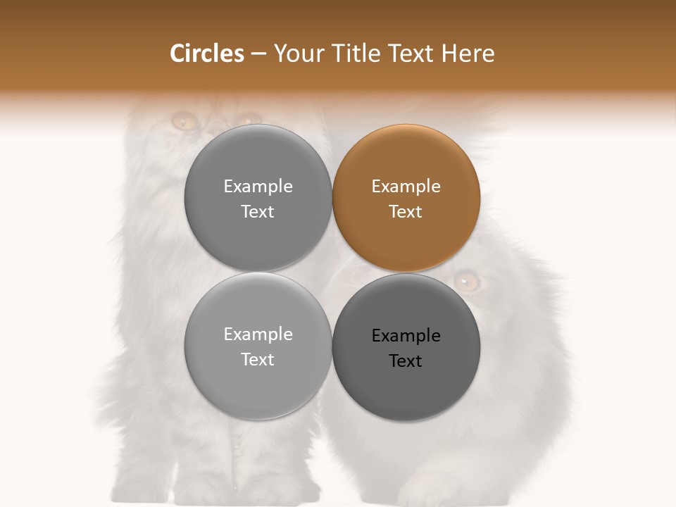 Cut Out Horizontal Fur PowerPoint Template