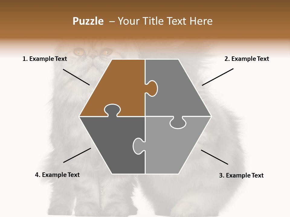 Cut Out Horizontal Fur PowerPoint Template