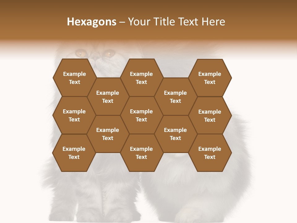 Cut Out Horizontal Fur PowerPoint Template