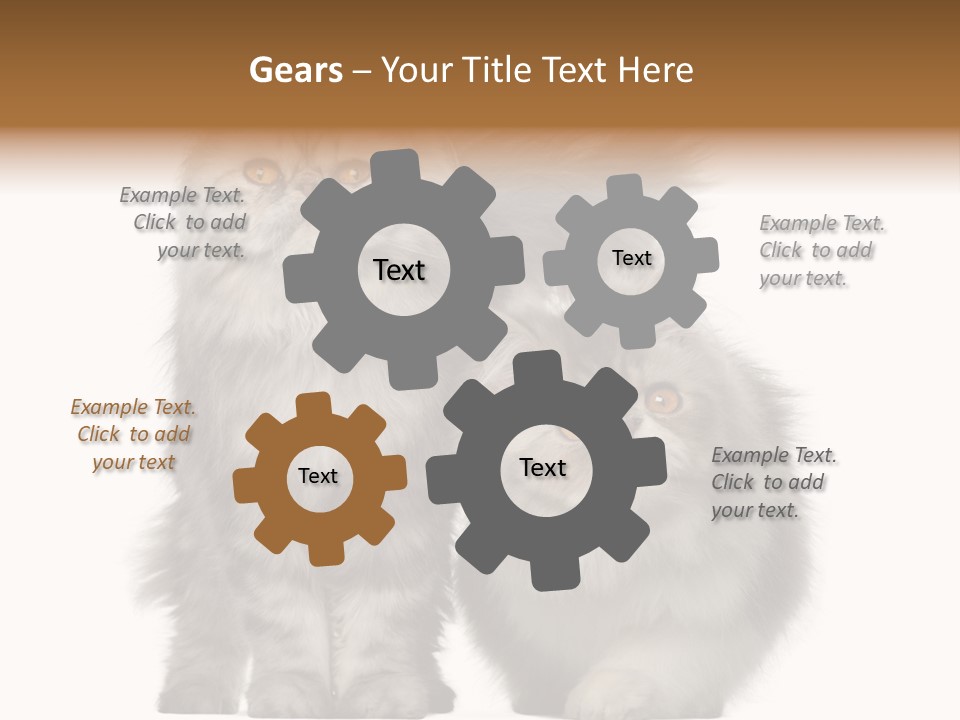 Cut Out Horizontal Fur PowerPoint Template