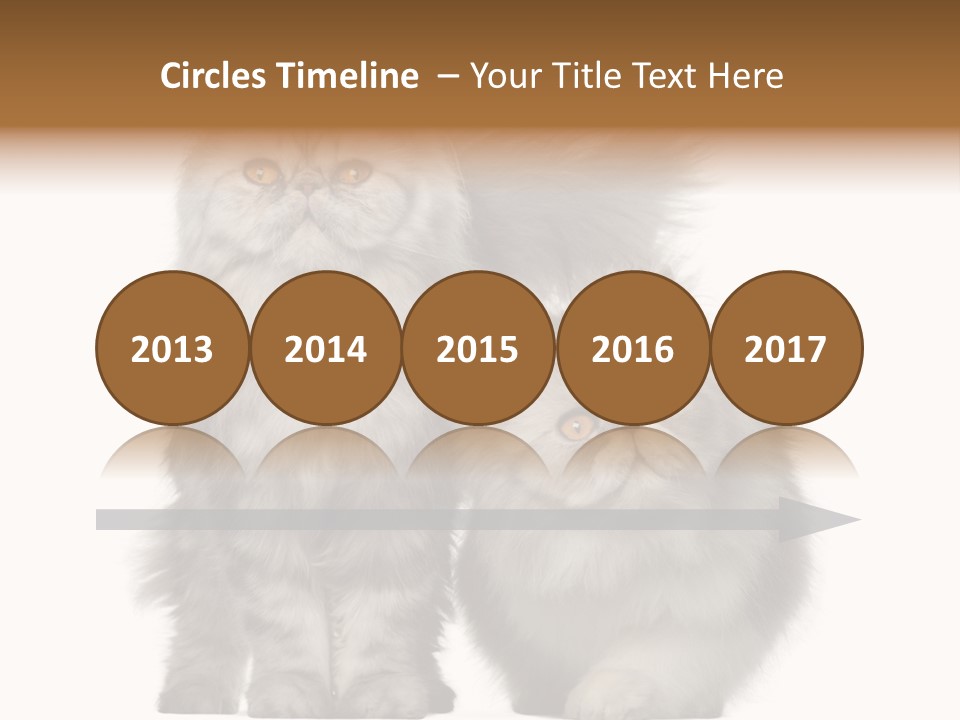 Cut Out Horizontal Fur PowerPoint Template