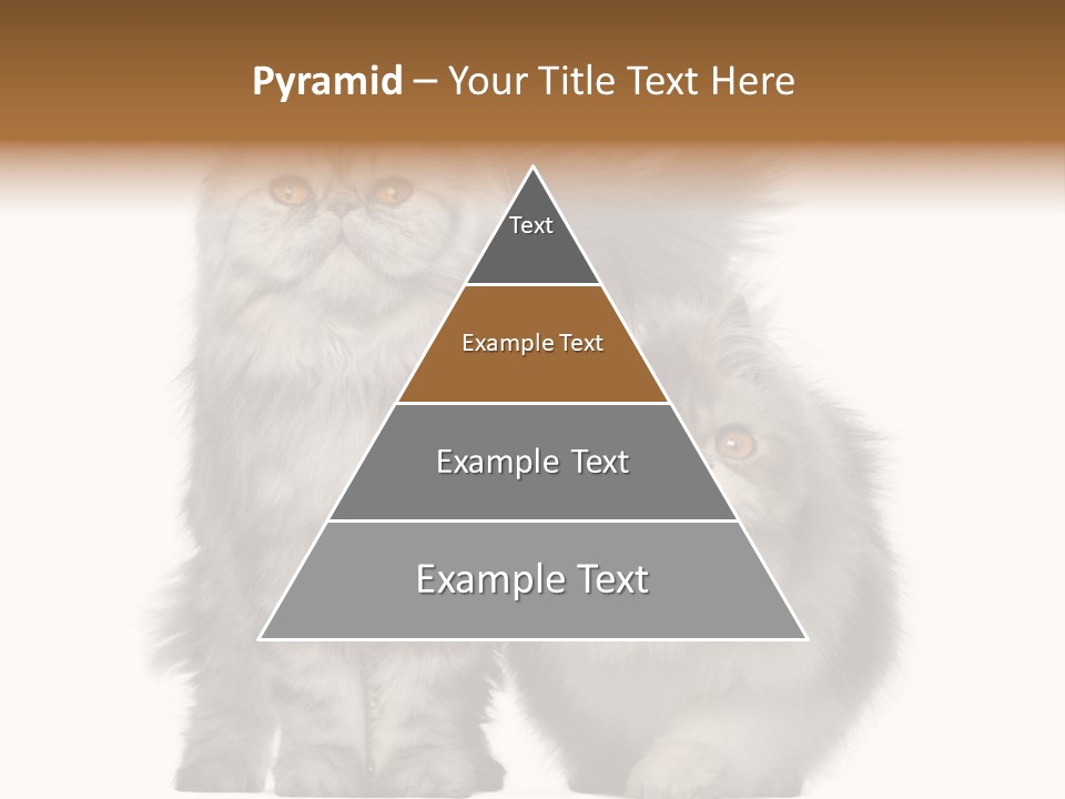 Cut Out Horizontal Fur PowerPoint Template