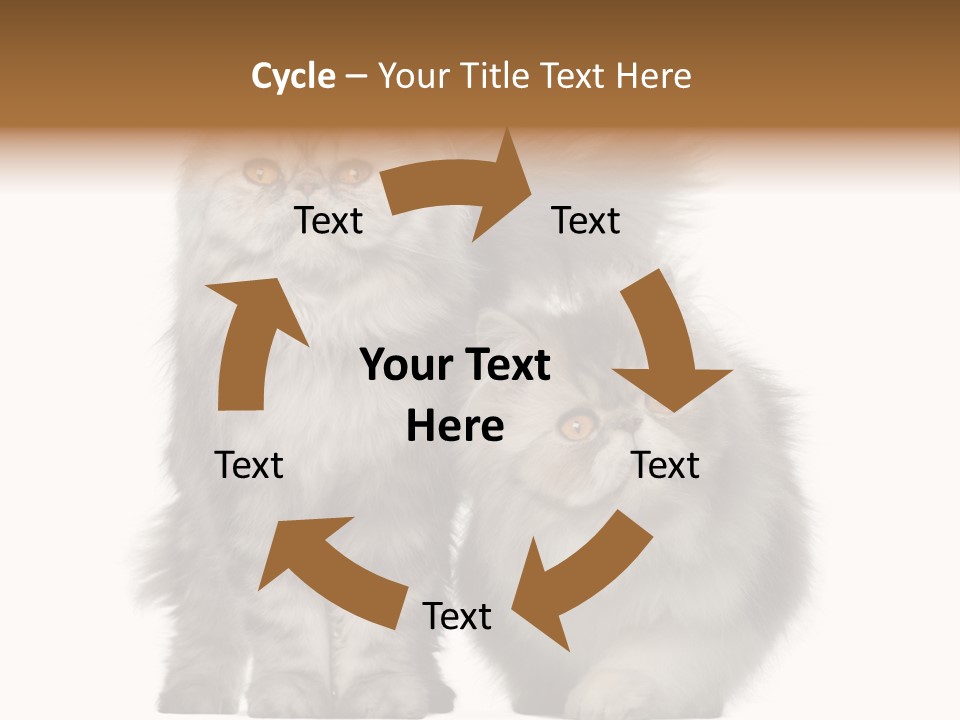 Cut Out Horizontal Fur PowerPoint Template