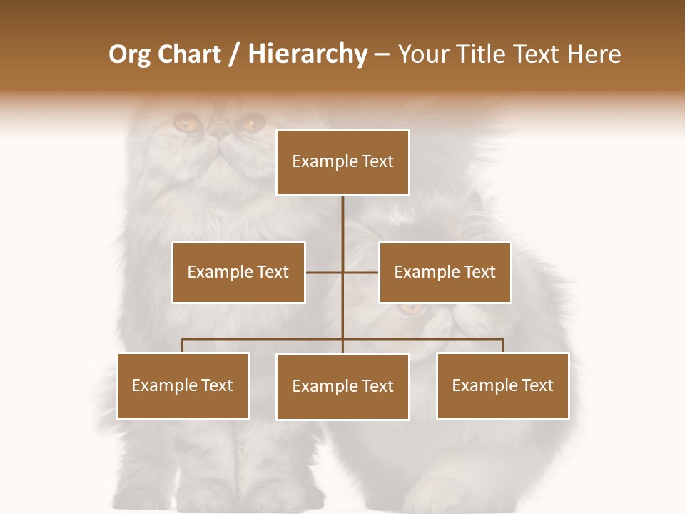 Cut Out Horizontal Fur PowerPoint Template