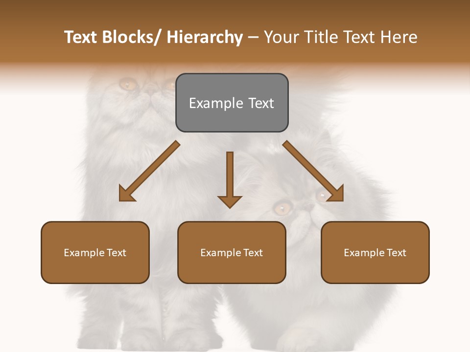 Cut Out Horizontal Fur PowerPoint Template