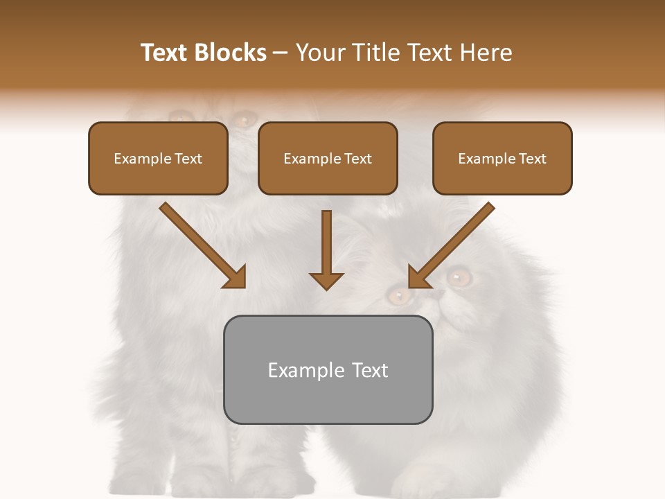 Cut Out Horizontal Fur PowerPoint Template