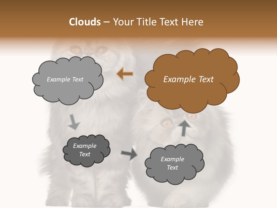 Cut Out Horizontal Fur PowerPoint Template