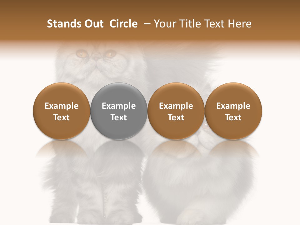 Cut Out Horizontal Fur PowerPoint Template