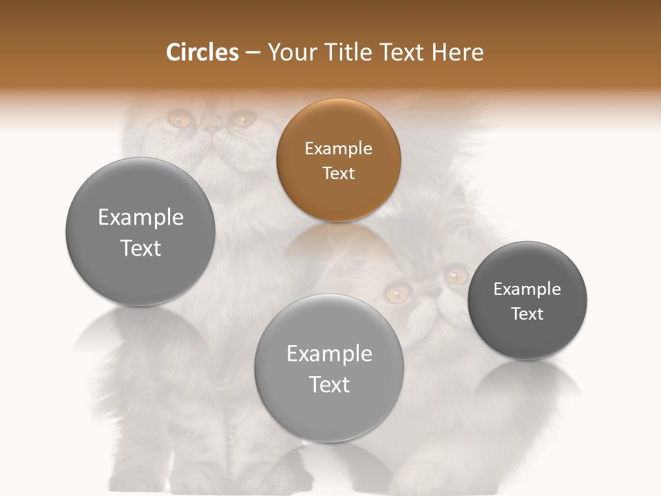 Cut Out Horizontal Fur PowerPoint Template