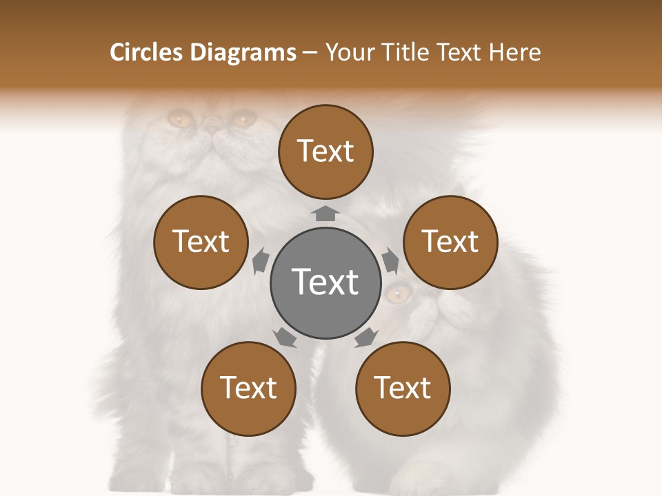 Cut Out Horizontal Fur PowerPoint Template