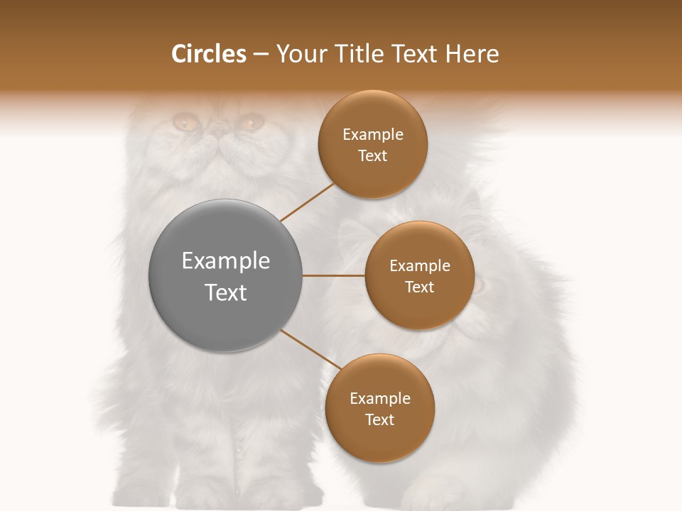 Cut Out Horizontal Fur PowerPoint Template