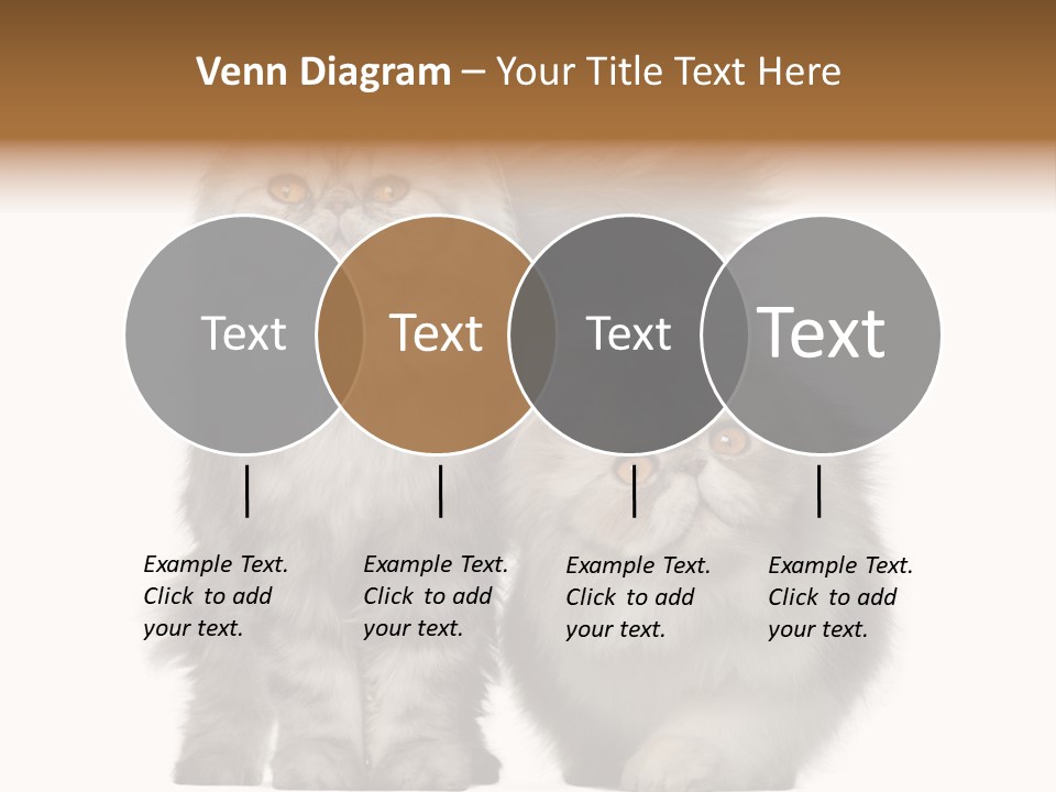 Cut Out Horizontal Fur PowerPoint Template