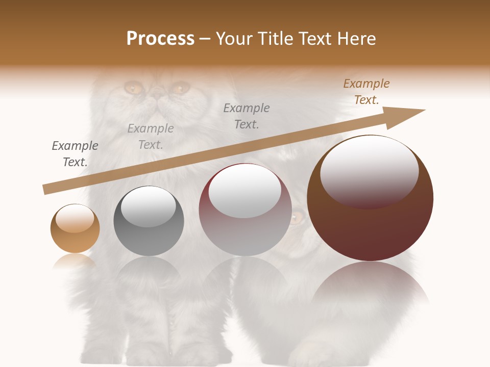 Cut Out Horizontal Fur PowerPoint Template