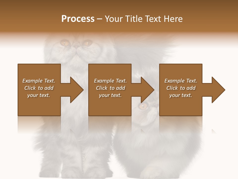 Cut Out Horizontal Fur PowerPoint Template